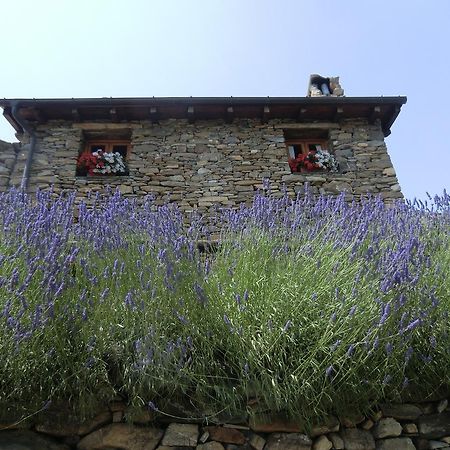 Agriturismo La Fontana Dell'Olmo Molini di Triora Ngoại thất bức ảnh